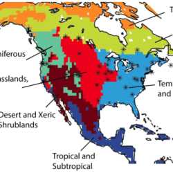 Biome mapping across north america