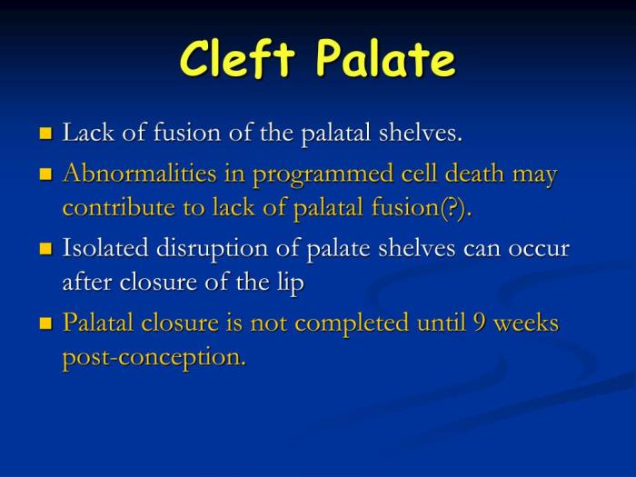 Cleft lip and palate hesi case study