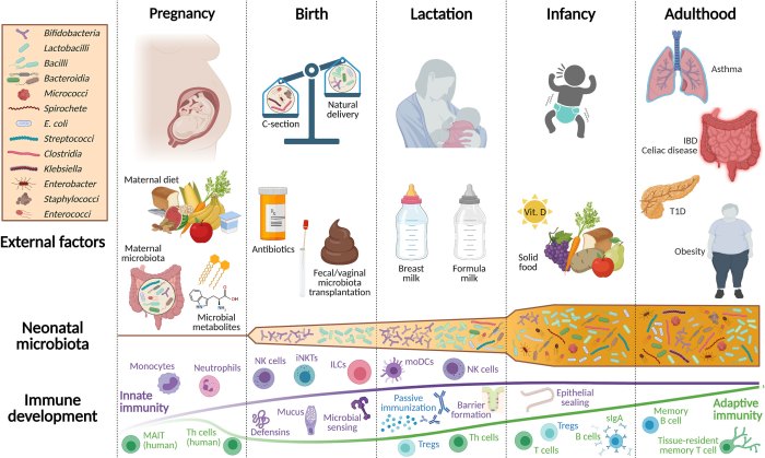 Hesi case study newborn with jaundice