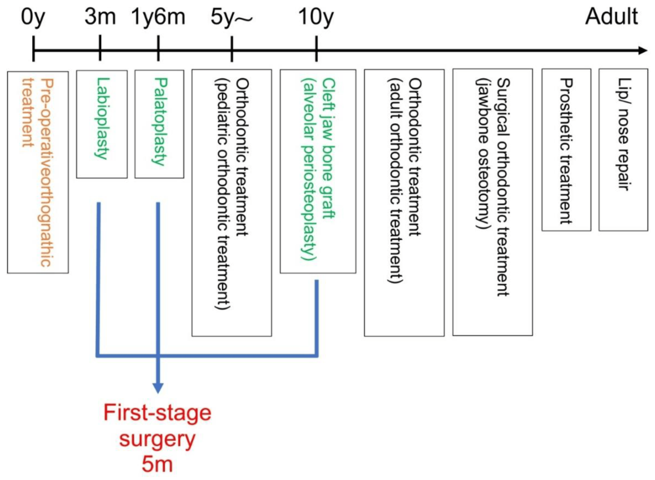 Cleft lip and palate hesi case study