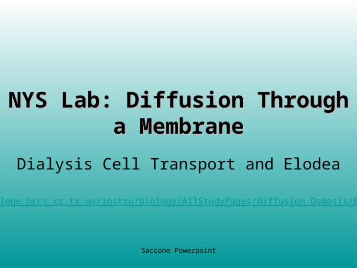 Nys diffusion through a membrane lab