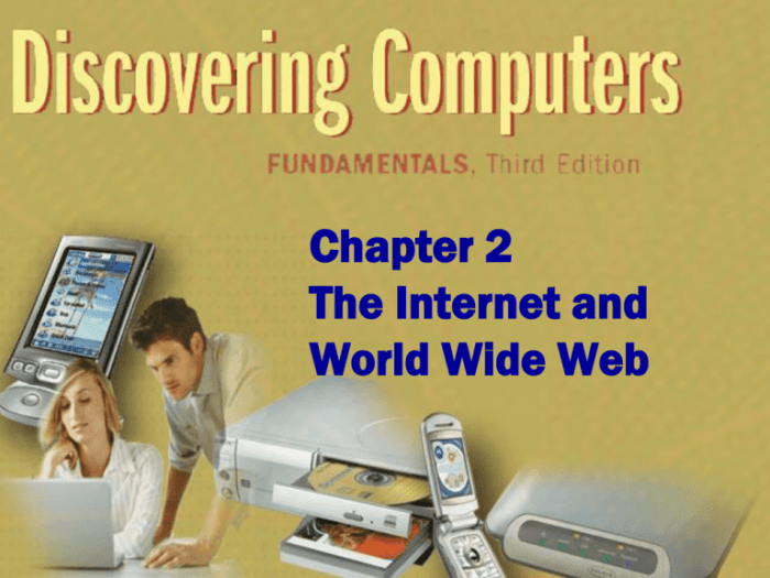 Chapter 2 calls the internet the world's largest