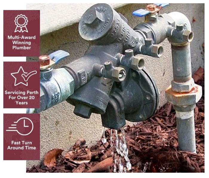 Backflow assembly parallel manifold assemblies connection