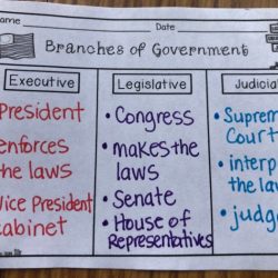 Three branches of government graphic organizer