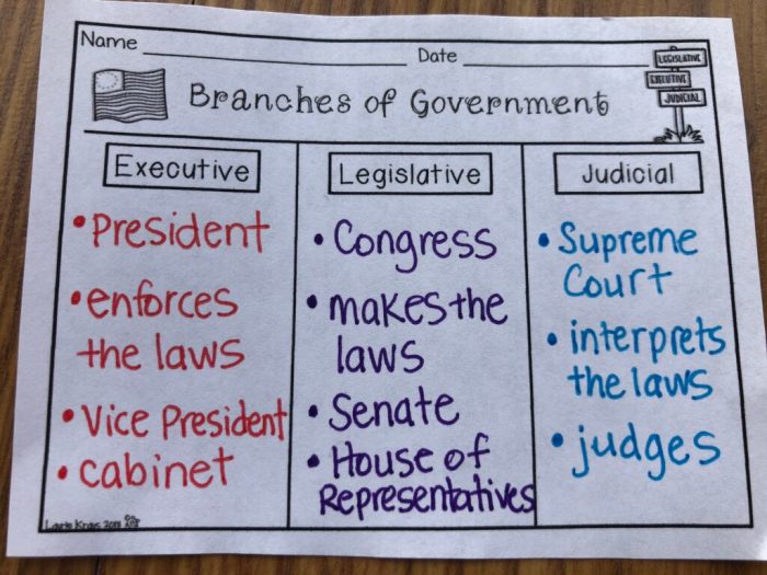 Three branches of government graphic organizer