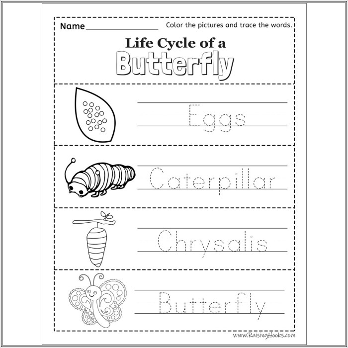 Life cycle of a star worksheet answers key