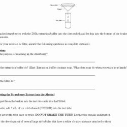 Discovering dna structure worksheet answer key