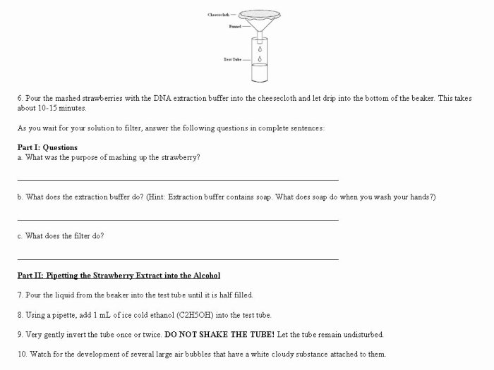 Discovering dna structure worksheet answer key