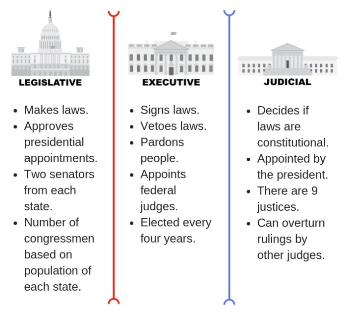 Three branches of government graphic organizer