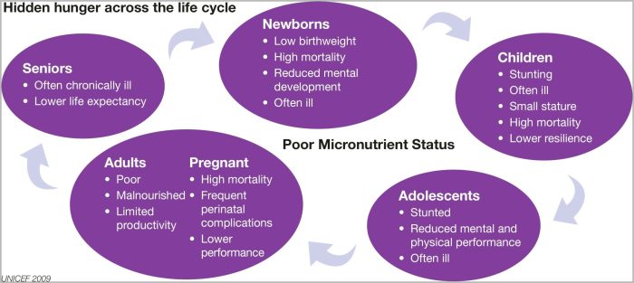 Life cycle of a star worksheet answers key