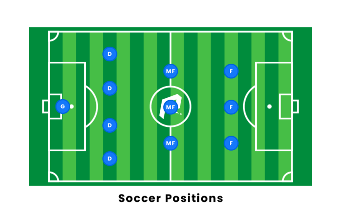 Defenders forwards midfielders homeworklib